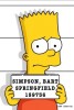 Les Simpson Ses photos 